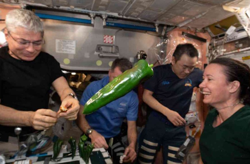 NASA astronauts eat peppers grown in space station, on mission from Earth