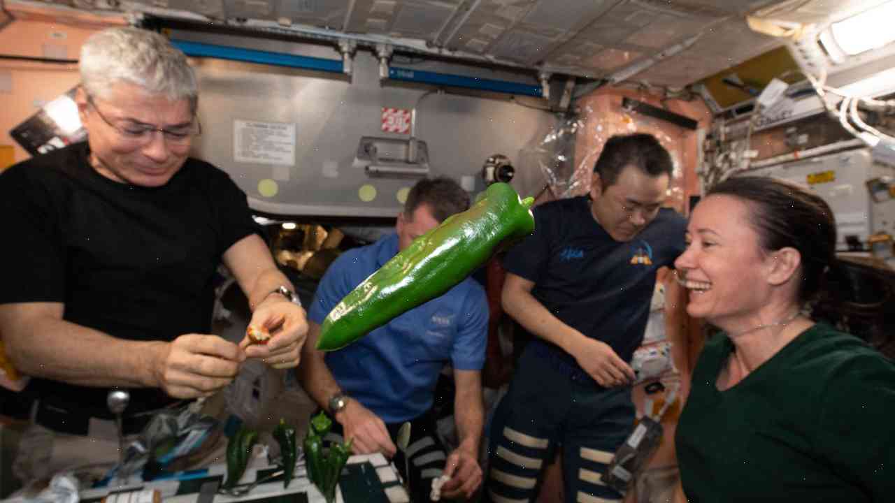 NASA astronauts eat peppers grown in space station, on mission from Earth